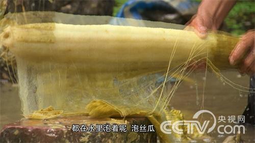 [致富经]巨型丝瓜里的财富玄机