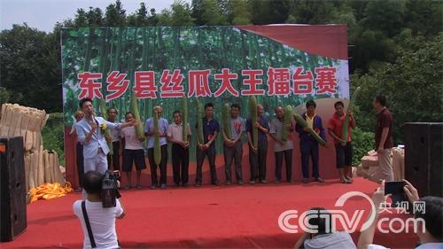 [致富经]巨型丝瓜里的财富玄机