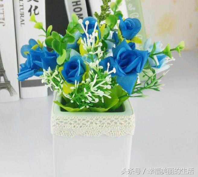 玫瑰种植盆景技术要点_玫瑰盆景种植技术_玫瑰种植盆景技术与管理