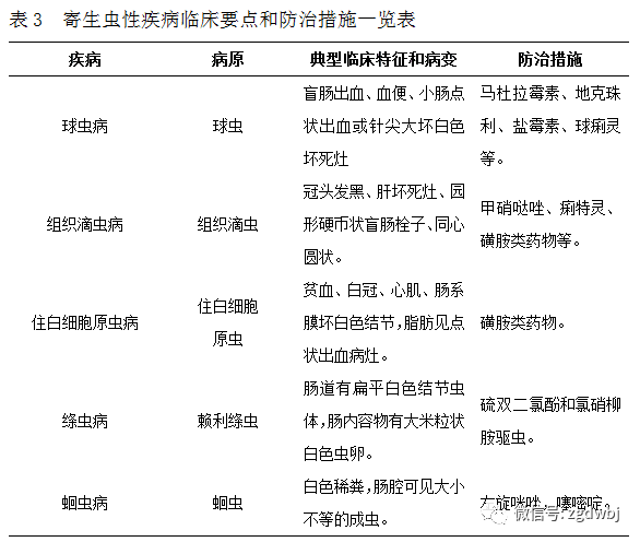 养鸡的防病技术_养鸡病防技术视频_鸡养殖技术与疾病防治