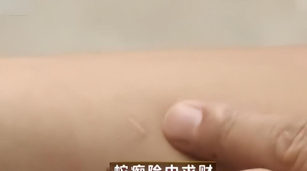 海南养蛇基地电话多少_致富经养蛇海南_海南养蛇人