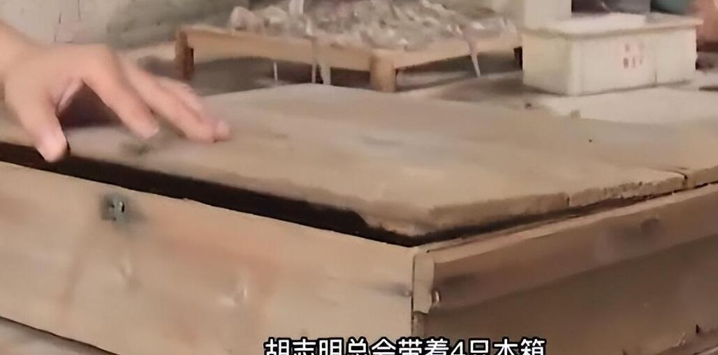 海南养蛇人_海南养蛇基地电话多少_致富经养蛇海南