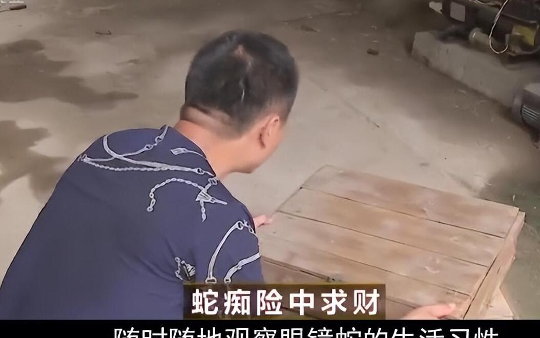 海南养蛇基地电话多少_海南养蛇人_致富经养蛇海南