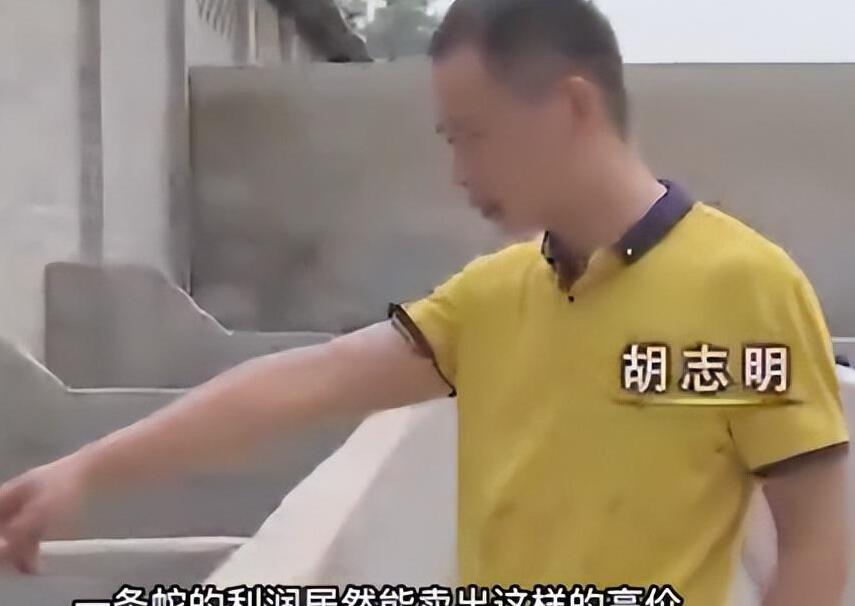 海南养蛇基地电话多少_致富经养蛇海南_海南养蛇人