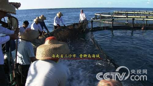 养小龙虾致富_养殖龙虾富豪_致富经 大学生养龙虾