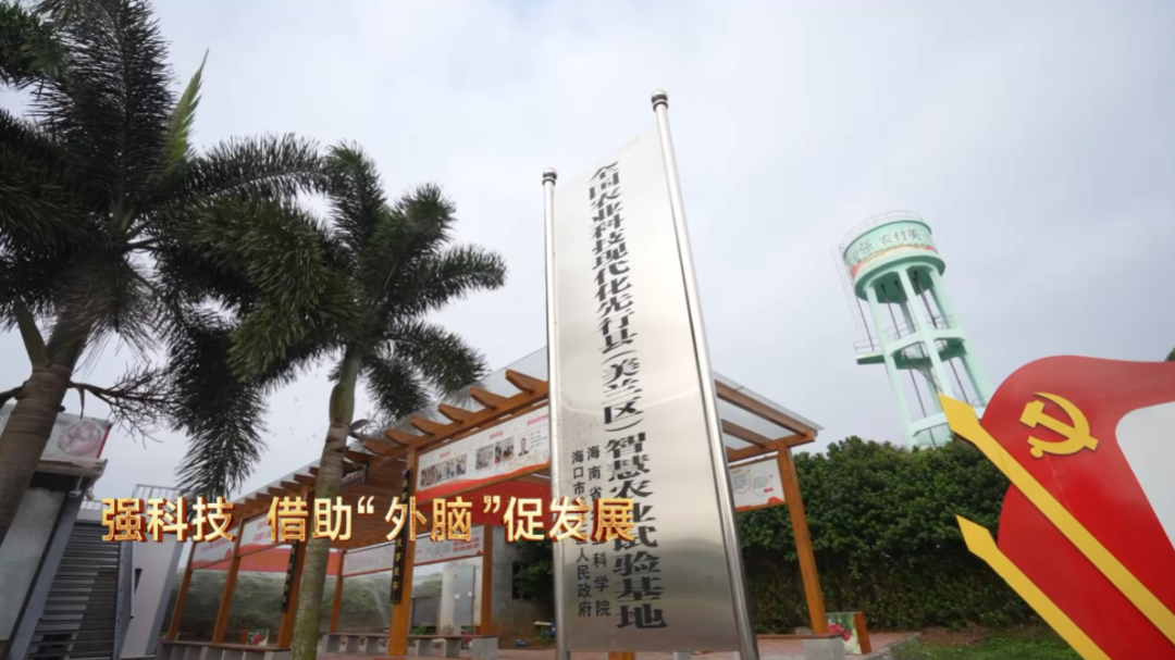 广西莲雾种植在哪_广西莲雾种植致富_广西哪里产莲雾