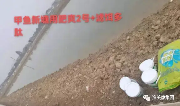 甲鱼生态健康养殖技术_生态养殖甲鱼技术大全_养殖生态甲鱼健康技术要求