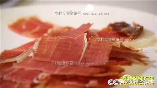 野猪养殖基地视频_野猪养殖致富视频_致富经野猪养殖视频