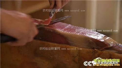 致富经野猪养殖视频_野猪养殖致富视频_野猪养殖基地视频