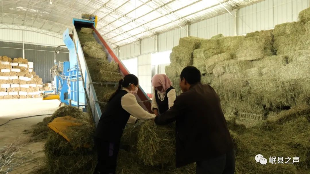 致富种植农民机械有哪些_致富种植农民机械视频_农民种植致富机械