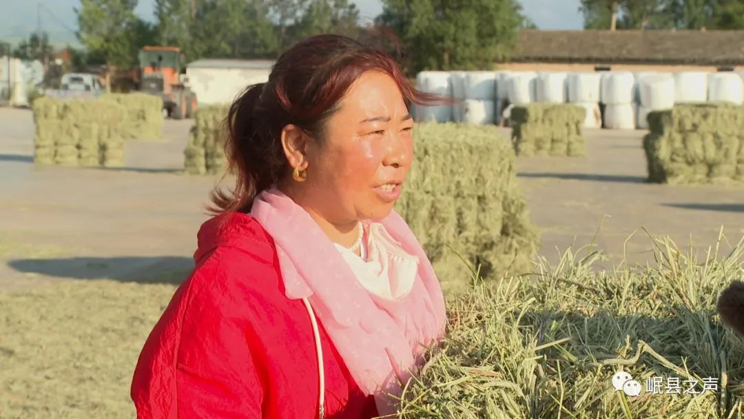 致富种植农民机械有哪些_致富种植农民机械视频_农民种植致富机械