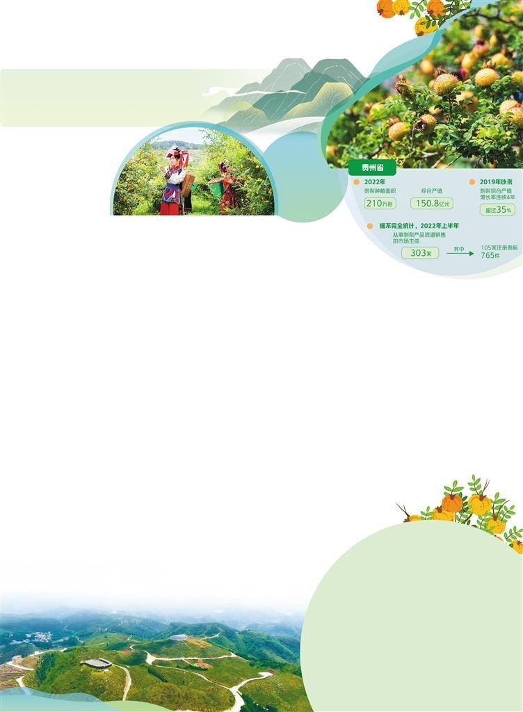 致富种植果野果有哪些_野果种植致富果_种植野果前景如何