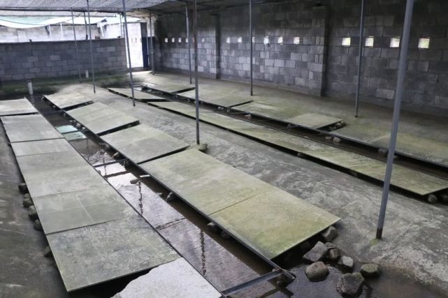 《丽水日报》头版头条刊文：基地共建 技术共享 产业共谋：遂昌浦城浙闽边界党建联盟谋共富