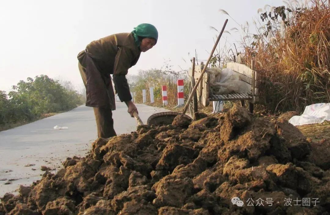 公牛养殖场_公牛养殖技术培训_公牛养殖致富