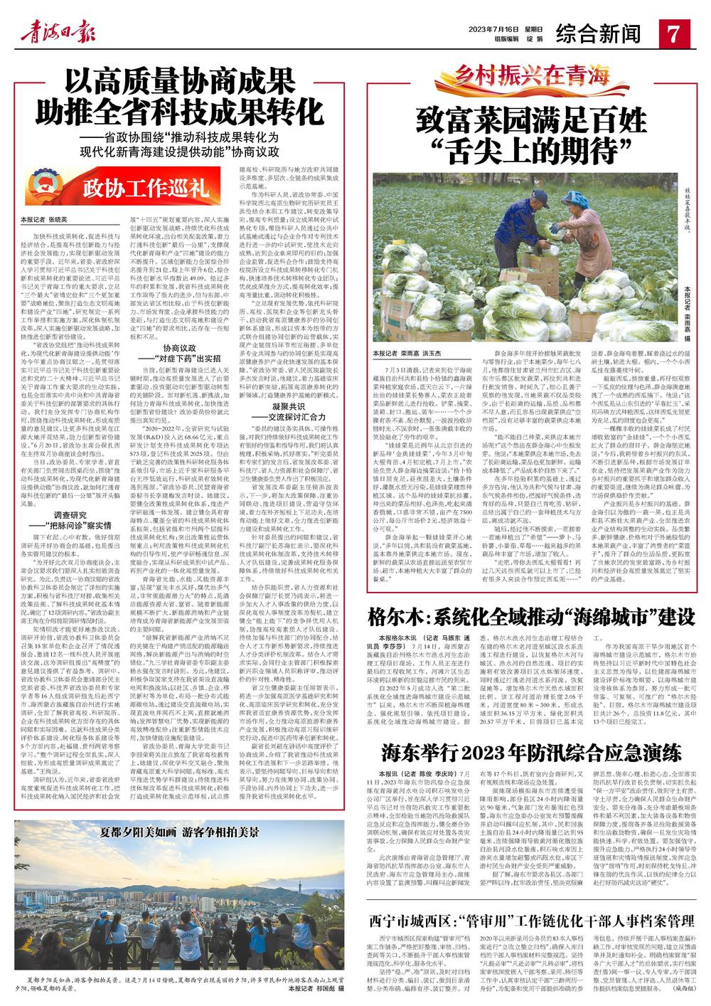 农村致富种植菜园_致富种植菜园农村图片大全_农村栽菜致富