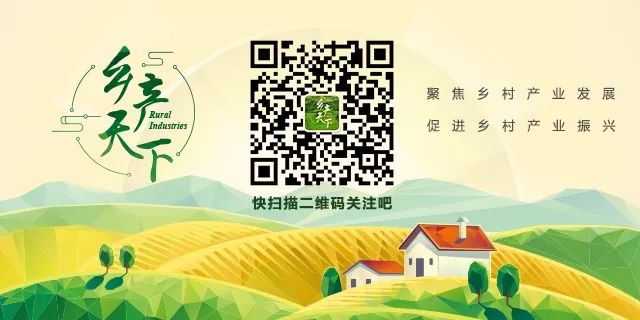 农村致富项目种植业_致富经农业种植视频_农作物种植致富路视频