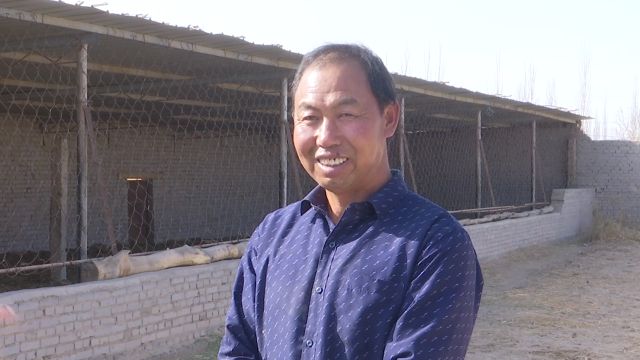 梅花鹿致富经_致富经改变命运的梅花鹿_致富经梅花鹿养殖