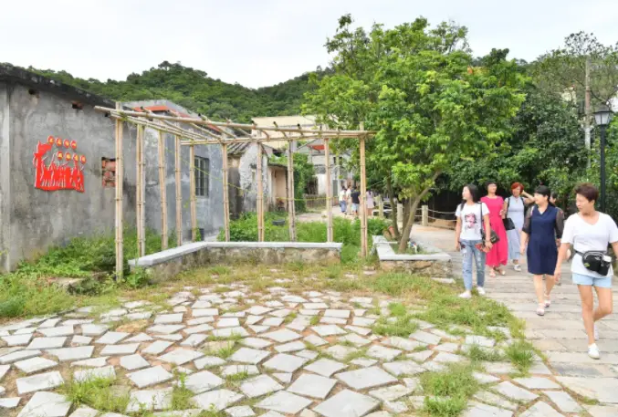 致富经肉鸽养殖技术_致富经肉鸽养殖视频_中央7套致富经养肉鸽