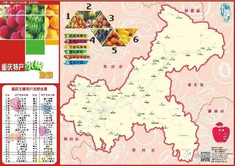 红肉柚种植技术视频_红柚培植技术_红肉柚子苗