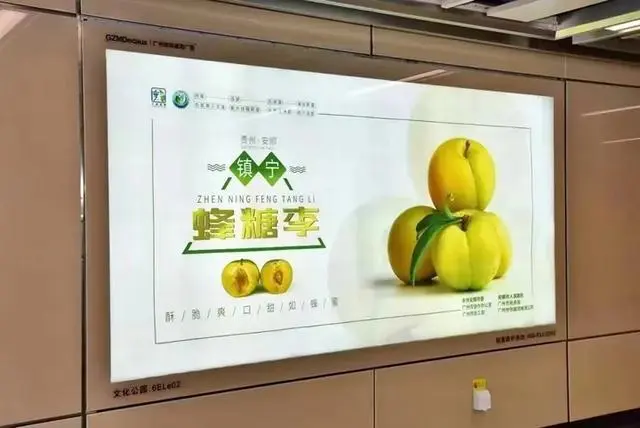 果园种植致富_致富种植果园怎么样_致富种植果园图片