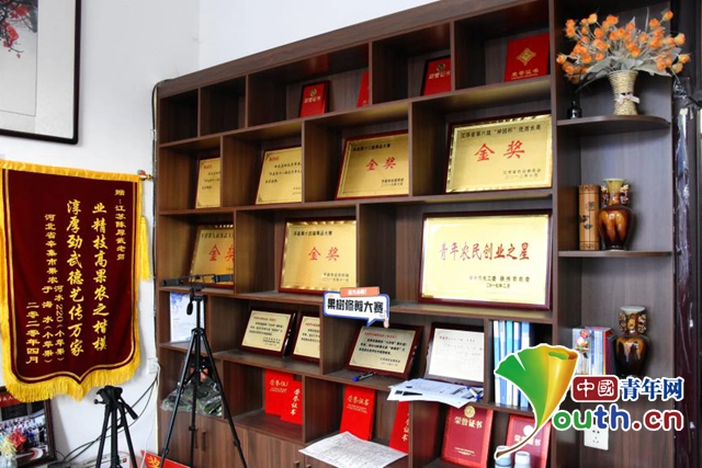 果园种植致富_种果园前景怎么样_致富种植果园怎么样