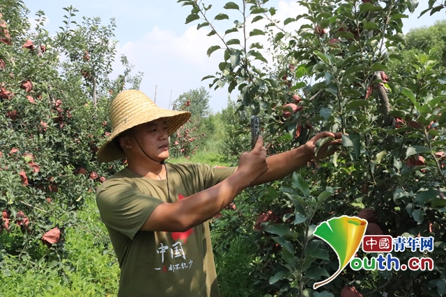 致富种植果园怎么样_果园种植致富_种果园前景怎么样