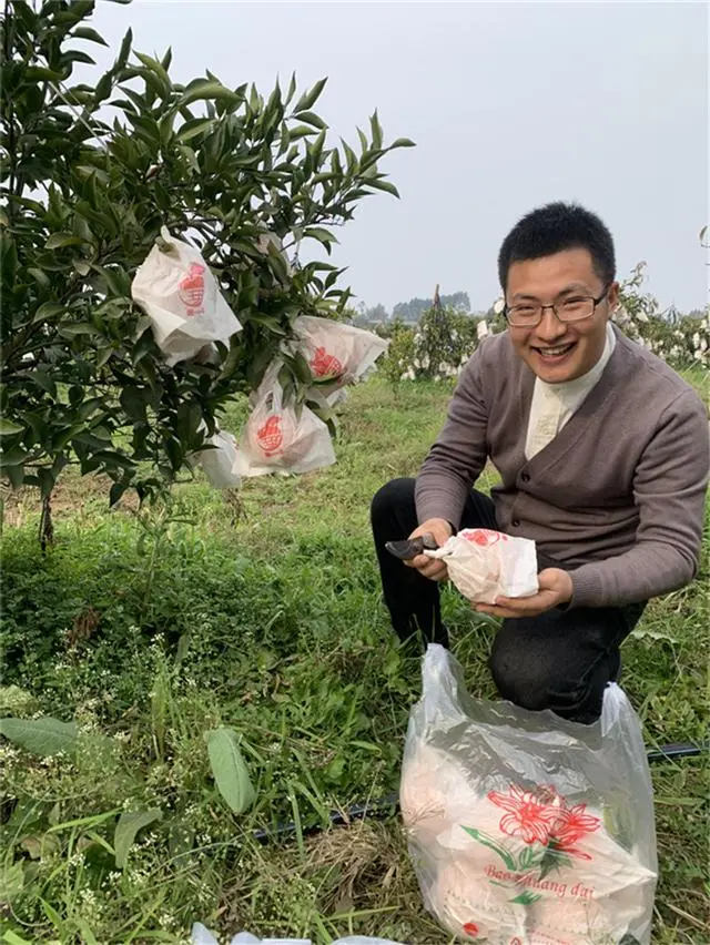致富种植果园图片大全_种果园前景怎么样_果园种植致富