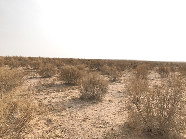 投资50万种植致富_种植致富新项目_致富种植投资方案