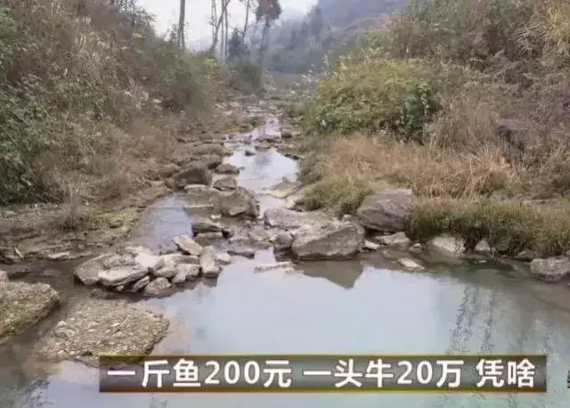 致富创业网养殖视频_致富经农业养殖视频_农视网致富经养殖视频