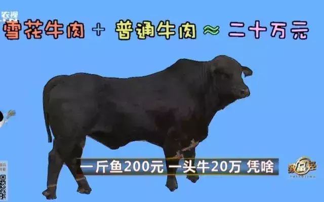 致富经农业养殖视频_致富创业网养殖视频_农视网致富经养殖视频