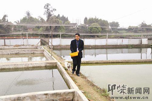 养殖泥鳅养殖泥鳅_泥鳅养殖技术年入千万_泥鳅养殖户