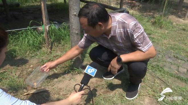 寿光养殖致富_山东寿光养殖合作社_寿光种养殖基地
