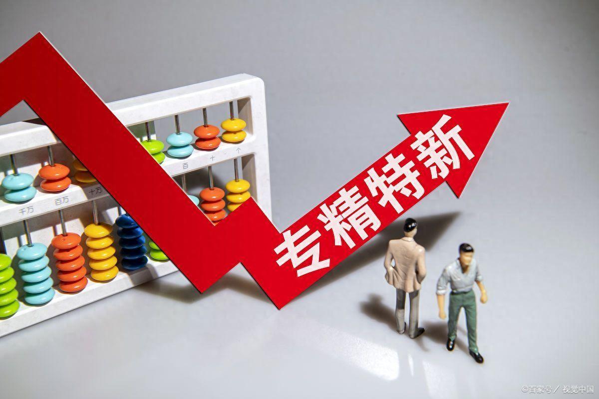 专精特新认证的评价和改进的效果和问题的评价和建议