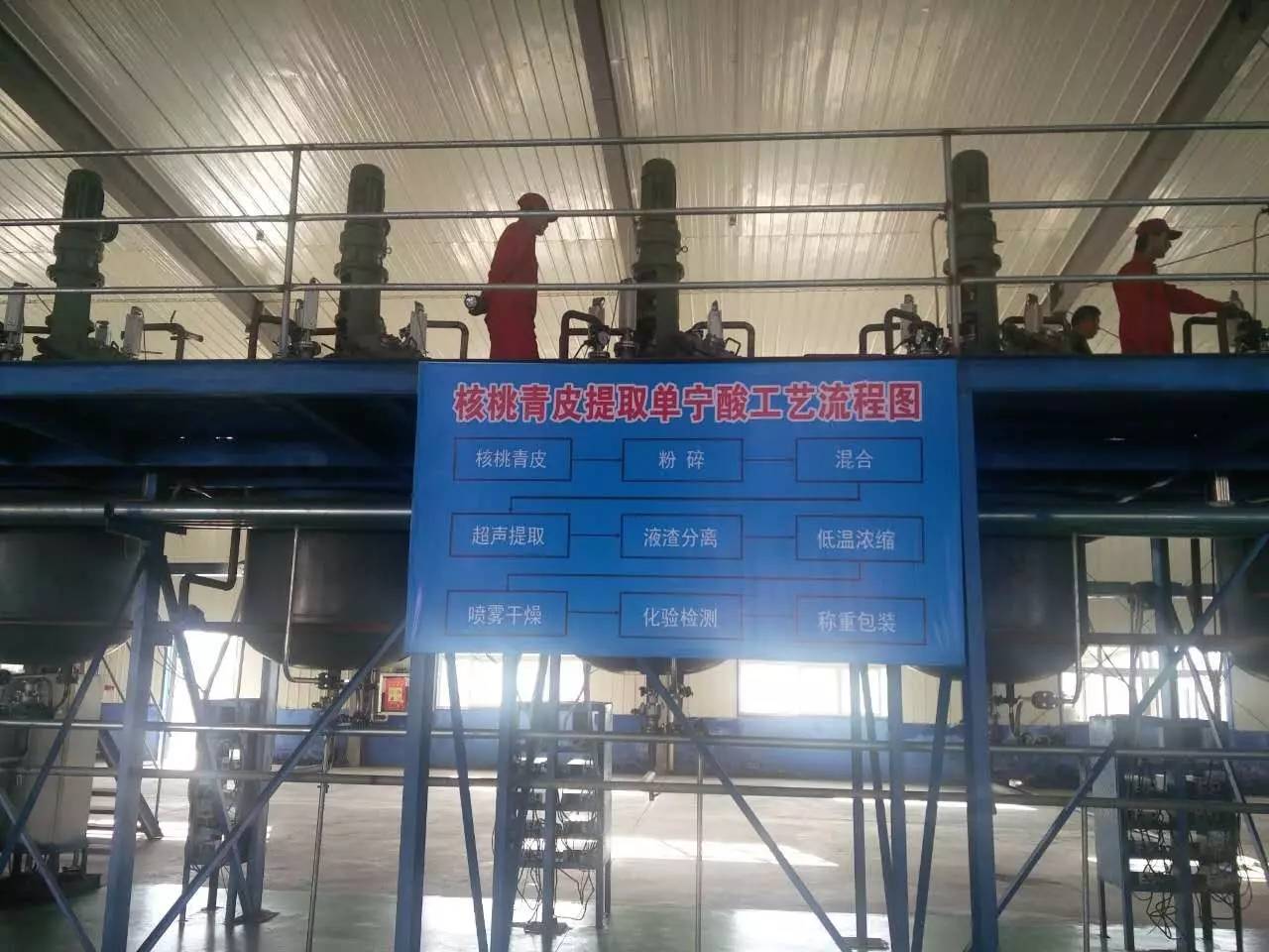 致富经核桃种植视频_核桃种植收益怎么样_核桃种植视频每日农经