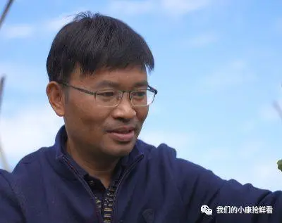 种植冬瓜挣钱吗_冬瓜种植视频播放_种植冬瓜致富视频