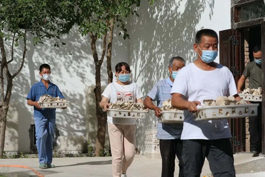 种植冬瓜挣钱吗_冬瓜种植视频播放_种植冬瓜致富视频
