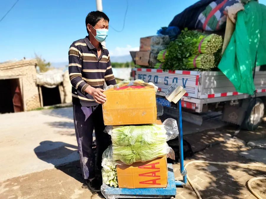 冬瓜种植视频播放_种植冬瓜致富视频_种植冬瓜挣钱吗