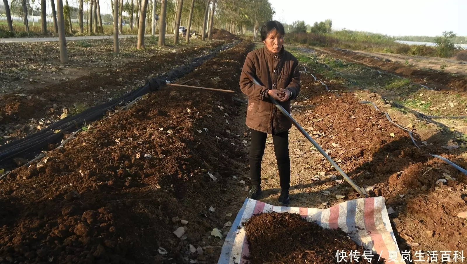 农户致富养殖地龙视频_农户地龙养殖致富_养殖地龙有什么条件