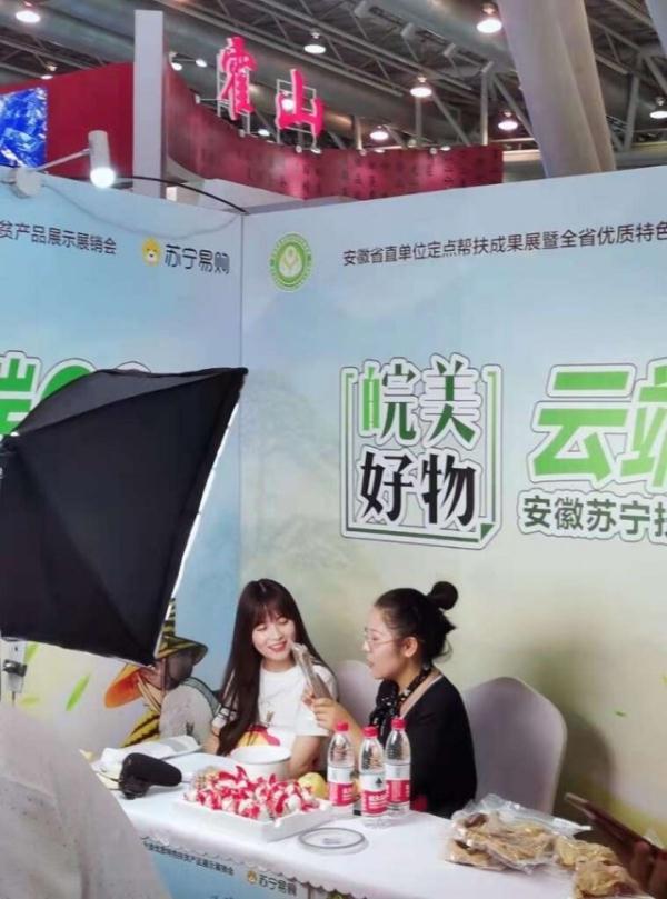 养殖鹅致富经_养鹅养鸭养鸡的利润哪个大_鸡鸭鹅养殖致富
