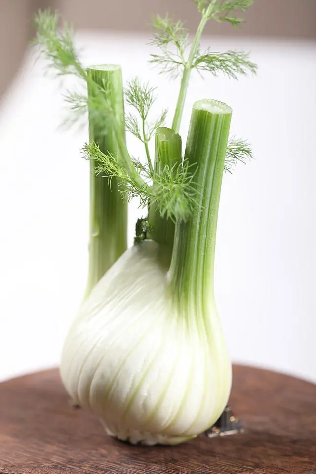 茴香怎么种植，才能长年有菜吃