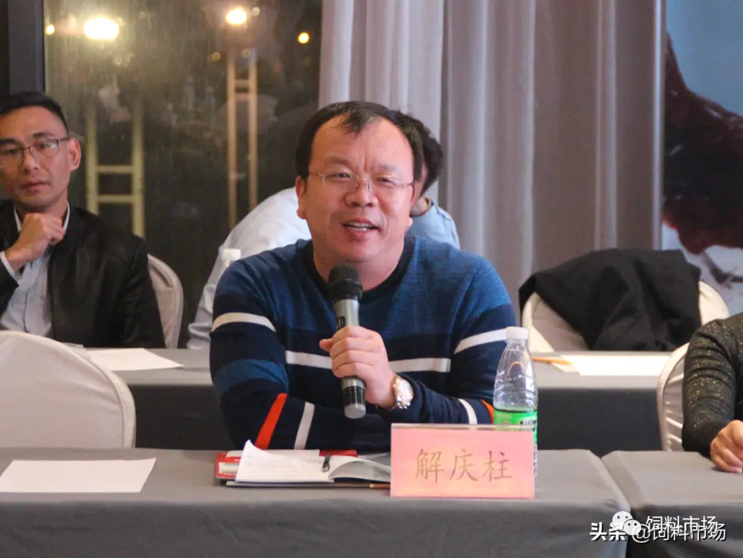 大棚养猪技术视频_大棚养猪的优点和缺点_大棚养殖猪技术