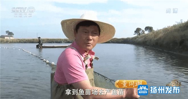 养鱼致富经_致富养鱼视频_致富经养鱼视频大全集