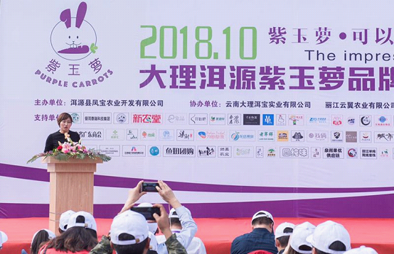 中央台致富节目_中央七台致富经栏目卖人参_中央七台致富经人参果