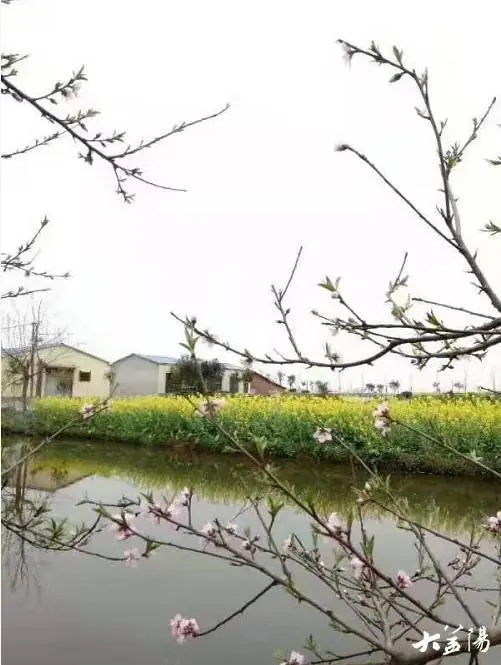 养殖蚂蝗的成本和利润_养殖蚂蝗能赚钱吗_蚂蝗养殖致富