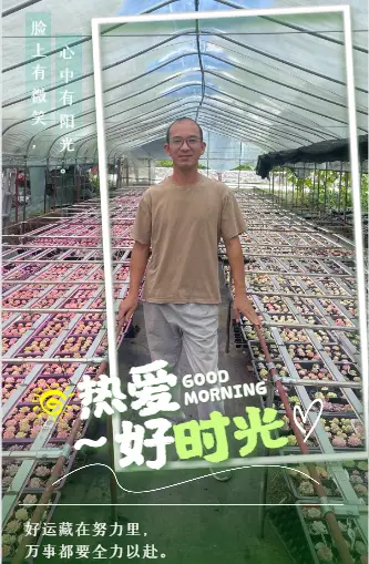 致富月季嫁接方法视频_月季嫁接致富经_致富月季嫁接方法图解