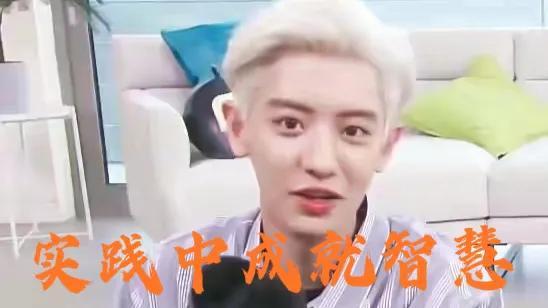 中央台致富节目_中央七台致富经人参果_中央七台致富经栏目卖人参