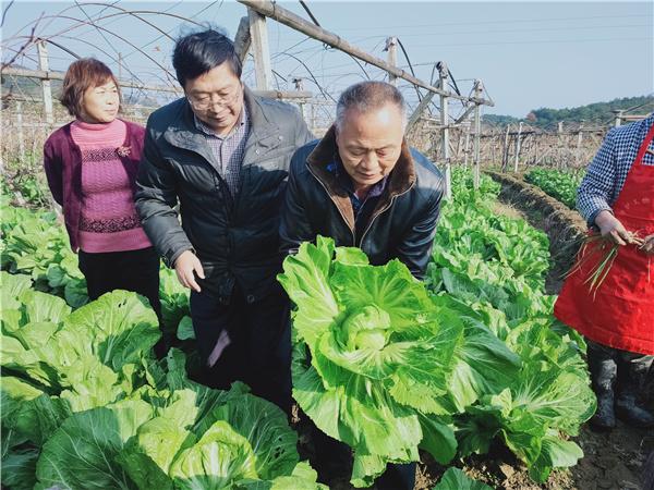 视频致富葡萄提子是真的吗_致富经提子葡萄视频_致富经葡萄种植视频