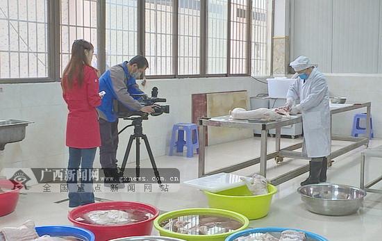冬瓜猪致富经_冬瓜猪养殖投资多少钱_冬瓜养猪