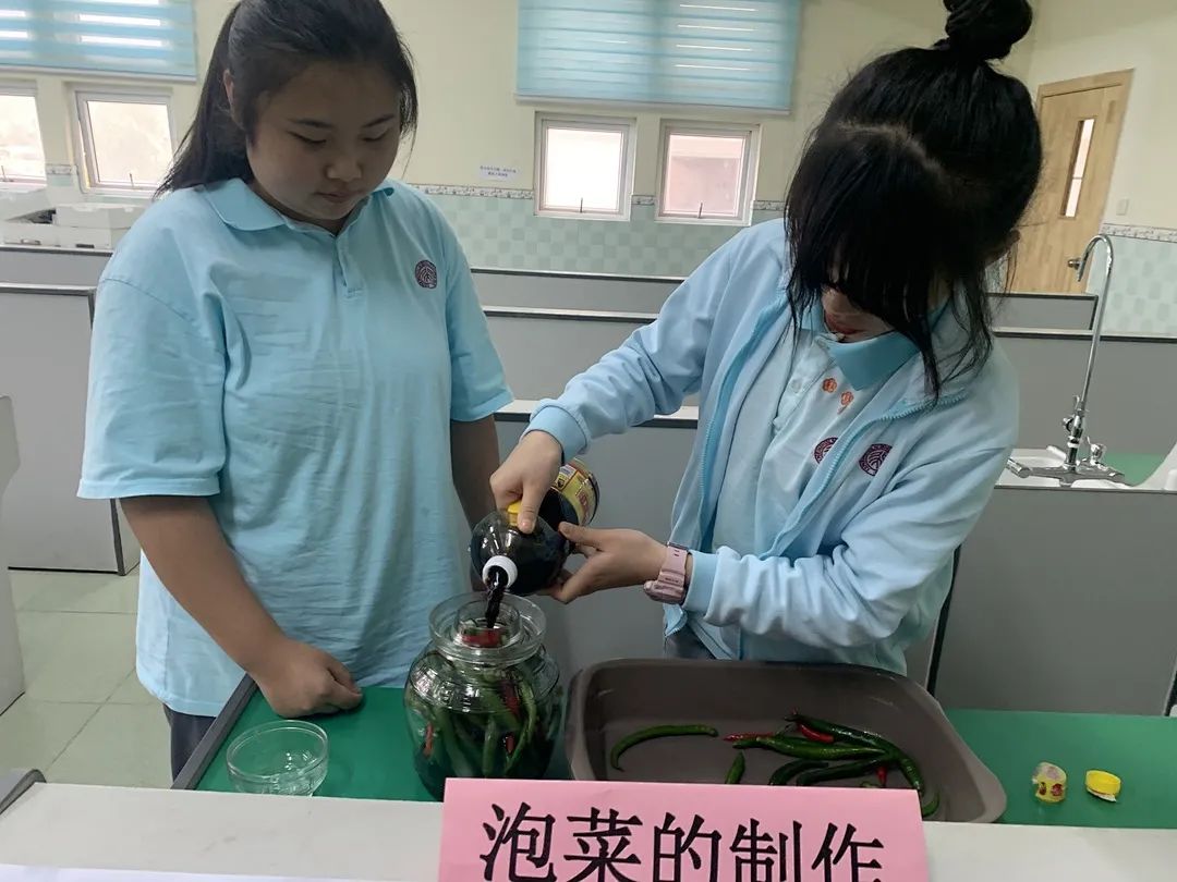 向日葵盆栽种植技术_向日葵盆栽种植技术与管理_向日葵盆栽种植技术要点