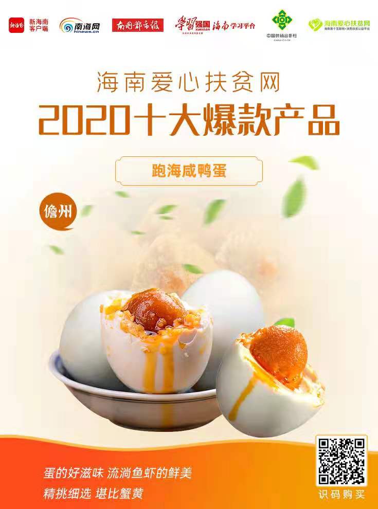 致富经野鸭养殖_致富经养鸭_致富经养鸭海鸭